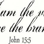 Wall Decal Quote  I am the vine ye are the branches John 15 5 wall decal wall words wall tattoo
